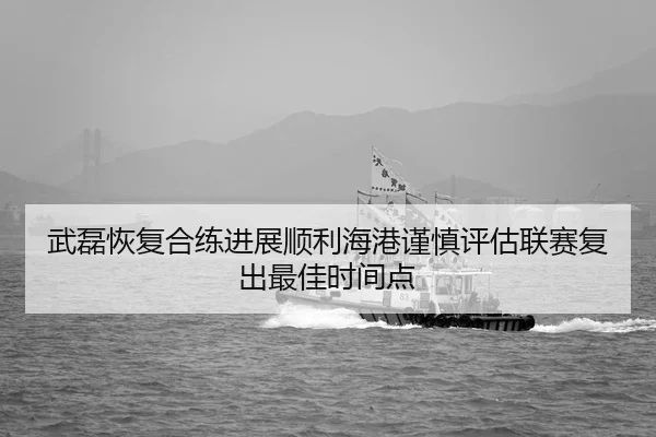 武磊恢复合练进展顺利海港谨慎评估联赛复出最佳时间点
